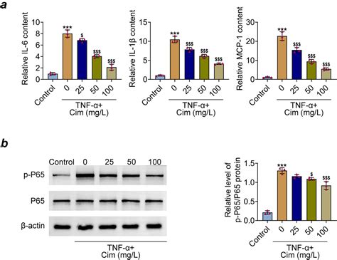 Cimifugin inhibits adipogenesis and TNF α induced insulin resistance in