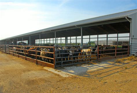 Show Cattle Barn Layouts