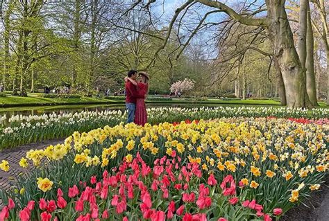 Dónde y cuándo visitar los campos de tulipanes en Holanda