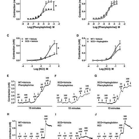 Concentration Response Curves To Phenylephrine A B And Kcl C D In