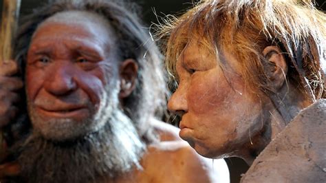 Liebten Sich Vor Jahren Neandertaler Trug Fr H Homo Sapiens