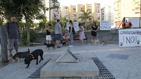 El Ayuntamiento Mover El Parque Canino De Olletas Por Los Ruidos