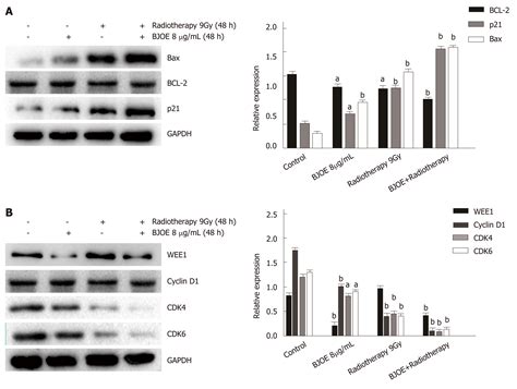 Brucea Javanica Oil Emulsion Improves The Effect Of Radiotherapy On