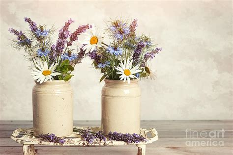 Lavender And Daisies Photograph by Amanda Elwell - Fine Art America