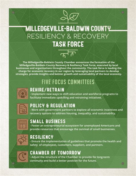 Milledgeville Baldwin County Resiliency Recovery Task Force