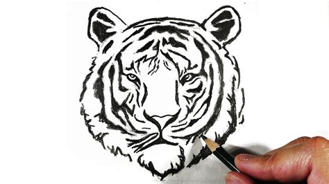 Arriba 57+ dibujo a lapiz tigre mejor - vietkidsiq.edu.vn