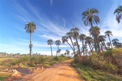 El Palmar National Park (Official GANP Park Page)