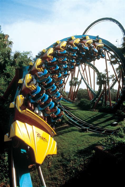 Griffon Busch Gardens Drop Height - Beautiful Insanity