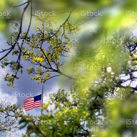 American Flag Stock Photo Download Image Now American Flag Flag