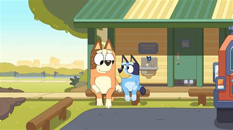 Bluey Special Episode The Sign Has Viewers In Tears Tv Shows