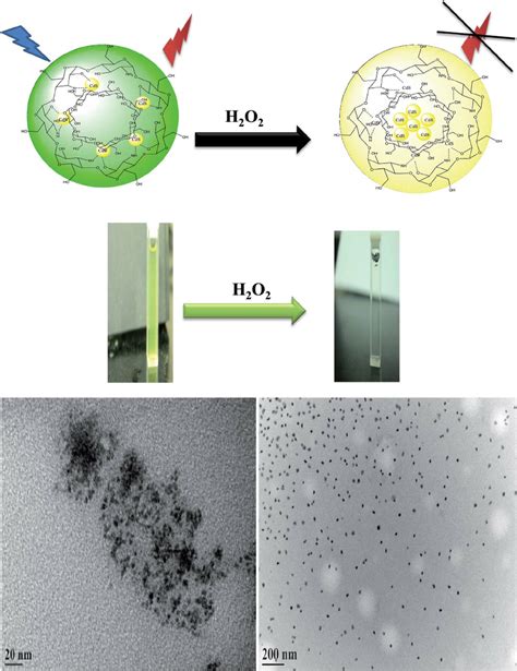 Mechanistic Representation Shows Hydrogen Peroxide Oxidation For