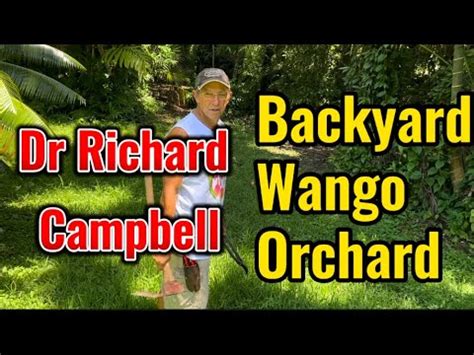 Dr Richard Campbell Backyard Wango Orchard YouTube