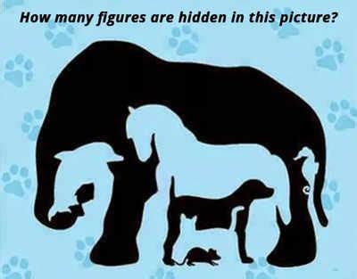 Picture Puzzle Only A Genius Can Find Hidden Figures In This Picture