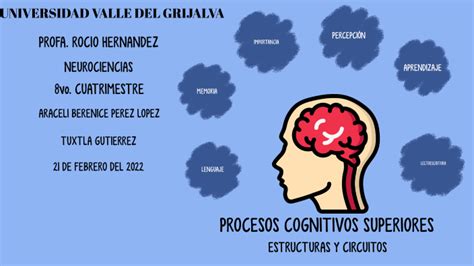 Procesos Cognitivos Superiores By Berenice Perez Lopez On Prezi