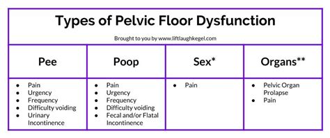 What Is Pelvic Floor Dysfunction — Lift Laugh Kegel