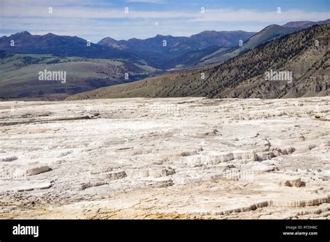 Travertine Terraces At Mammoth Hot Springs Yellowstone Stock Photo Alamy