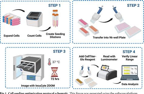 Figure From Automation Live Cell Imaging And Endpoint Cell