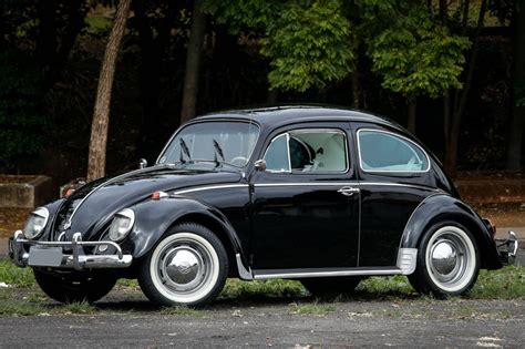 Dia Nacional do Fusca celebra história do VW no Brasil