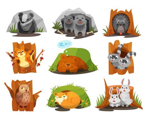 Animal Den Illustrations Royalty Free Vector Graphics And Clip Art Istock