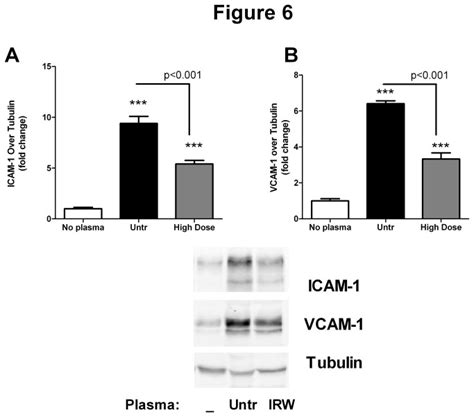 A And B Confluent HUVEC Monolayers Were Treated With 10 Plasma From