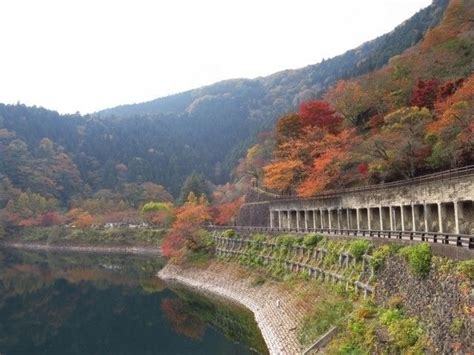 奥多摩湖の紅葉｜紅葉情報2024