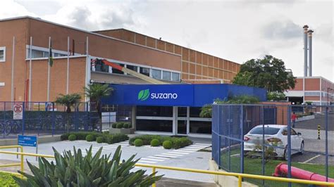 Suzano Abre Diversas Vagas De Emprego