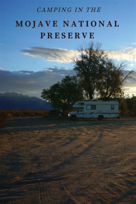 Guide to a Mojave National Preserve Camping Trip - No Back Home