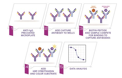 Competitive Elisa Eia Kits Raybiotech