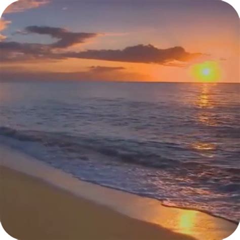 Sunset Beach Live Wallpaper - Apps on Google Play