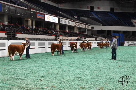 Miniature Herefords Make History - 4 Wiley Farm