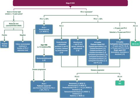 Metastatic Non Small Cell Lung Cancer Esmo Clinical Practice