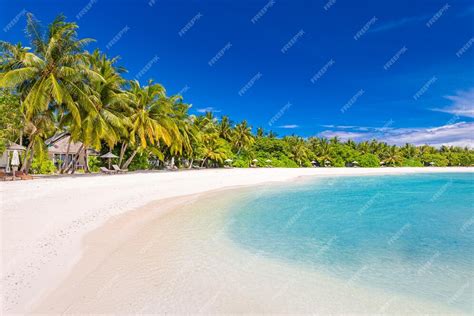 Premium Photo Paradise Sunny Beach White Sand Coco Palms And