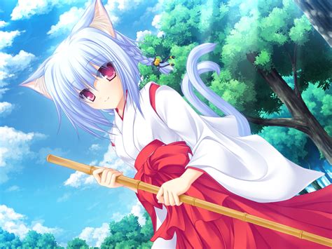 Neko☆Koi! Image by Whirlpool #195580 - Zerochan Anime Image Board