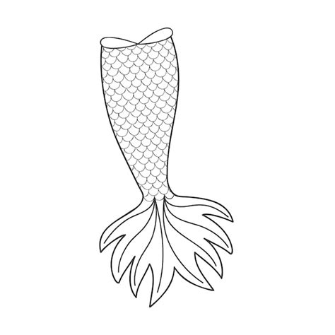 Premium Vector Mermaid Tail In Doodle Outline Style Element Of