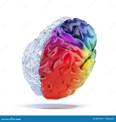 Colored brain stock illustration. Illustration of sequential - 38137611