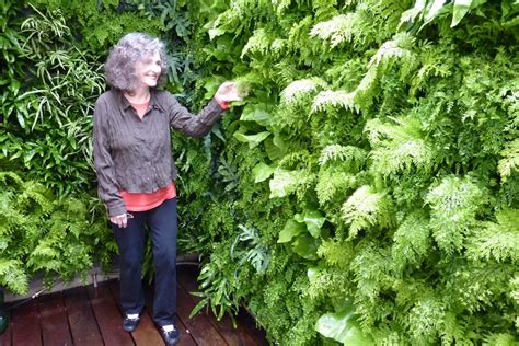 Custom Designed Fern Filled Window Well