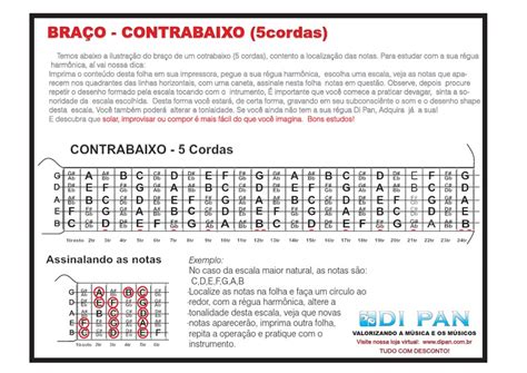 Contra Baixo 5 Cordas Notas - Notas e Escalas para Contrabaixo 5 Cordas | PDF