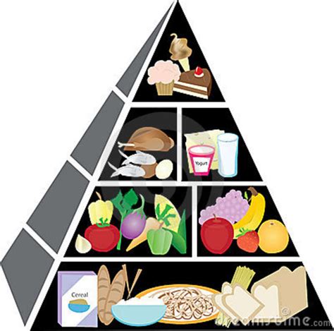 Food Pyramid Clipart Free Download On Clipartmag