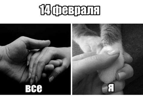 Котовасия: dok_zlo — LiveJournal
