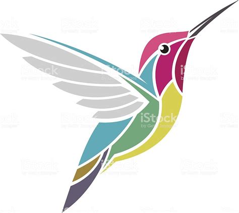 Anna S Hummingbird Dessin De Colibri Illustration Colibri Illustration