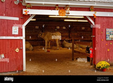 Deerfield Fair New Hampshire 2023 A View Of The Inside Of The Red