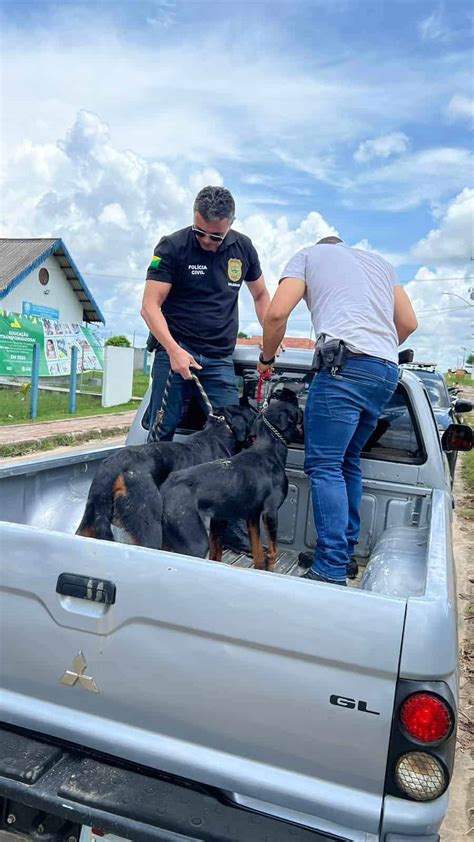 Cães em situação de maus tratos são resgatados e polícia abre inquérito