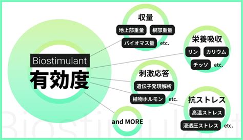 Agri Smile、バイオスティミュラントの有効な原体を集めたライブラリーの提供開始 Randd 株式会社agri Smile