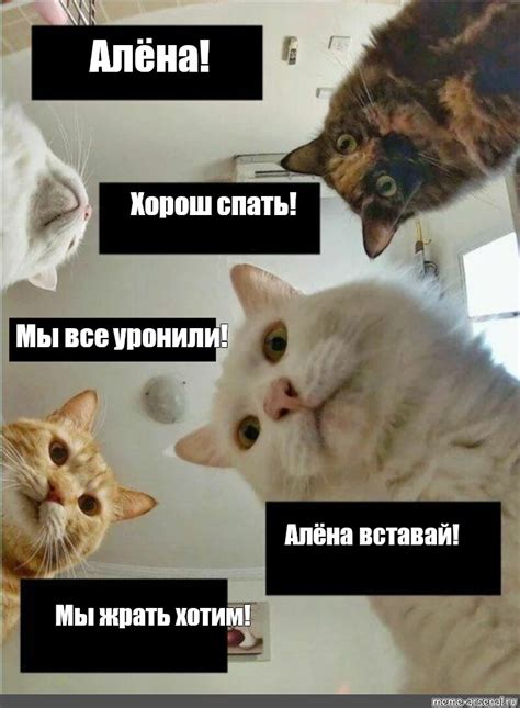 Сomics meme Алёна Хорош спать Мы все уронили Алёна вставай Мы