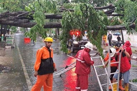 Angin Puting Beliung Sidoarjo Bpbd Tercatat Rumah Rusak Ringan