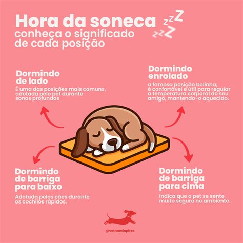 Significado Das Posi Es Dos Cachorros Sololearn