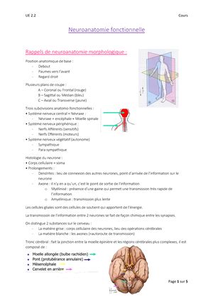 Ue Adn Chromosome Cours Ifsi Sorbonne M Decine Ue Cycles De