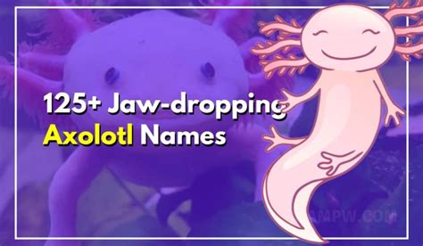 125 Jaw Dropping Axolotl Names For Your Fun Loving Friend