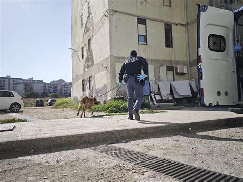 Cinturate Le Piazze Di Spaccio Forze Dell Ordine Sempre In Strada