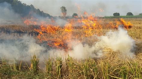 Clearing The Fog On Stubble Burning Hindustan Times